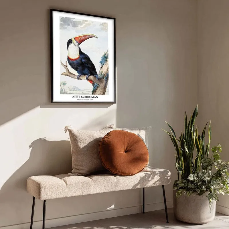 Red Billed Toucan Aert Schouman Archival Canvas Wall Painting - Black Frame media 4
