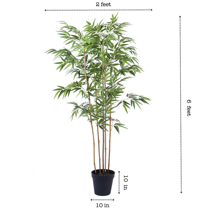 Artificial Realistic Bamboo Plant With Black plastic Pot - 5.9 Feet media 7