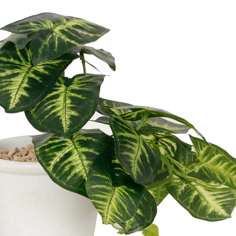 Lirio Artificial Plant With Black Plastic Pot media 4