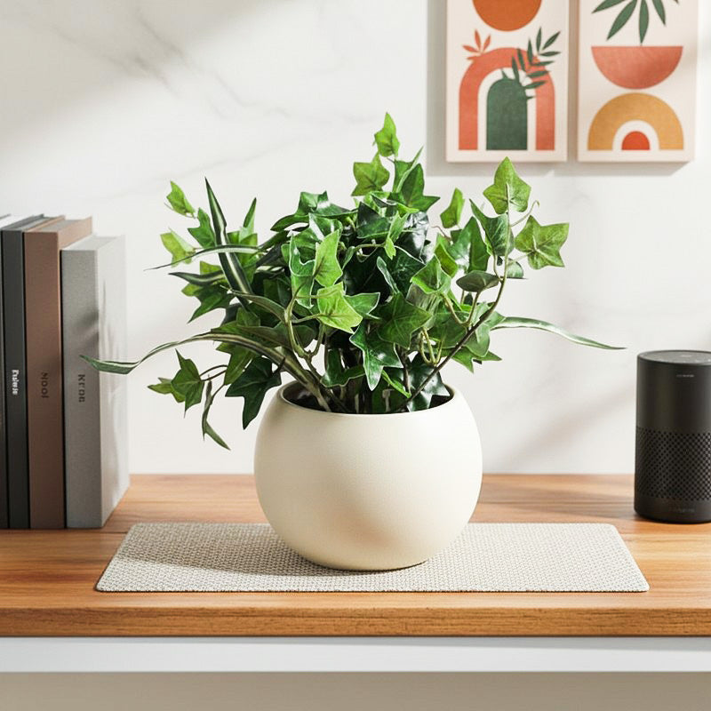 Faux Bonsai In Black Plastic Pot - 25 cms