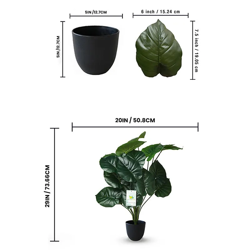 Faux Everlasting Cardinal Philodendron Plant With Black Plastic Pot - 74 cm (2.4 ft) media 8