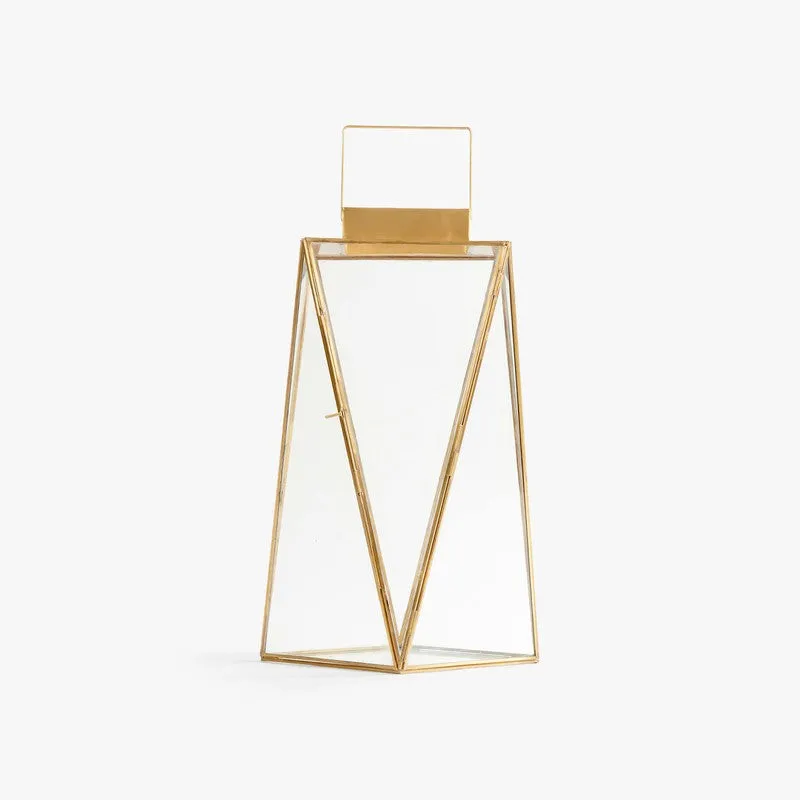 Orange Tree Alex Lantern media 5