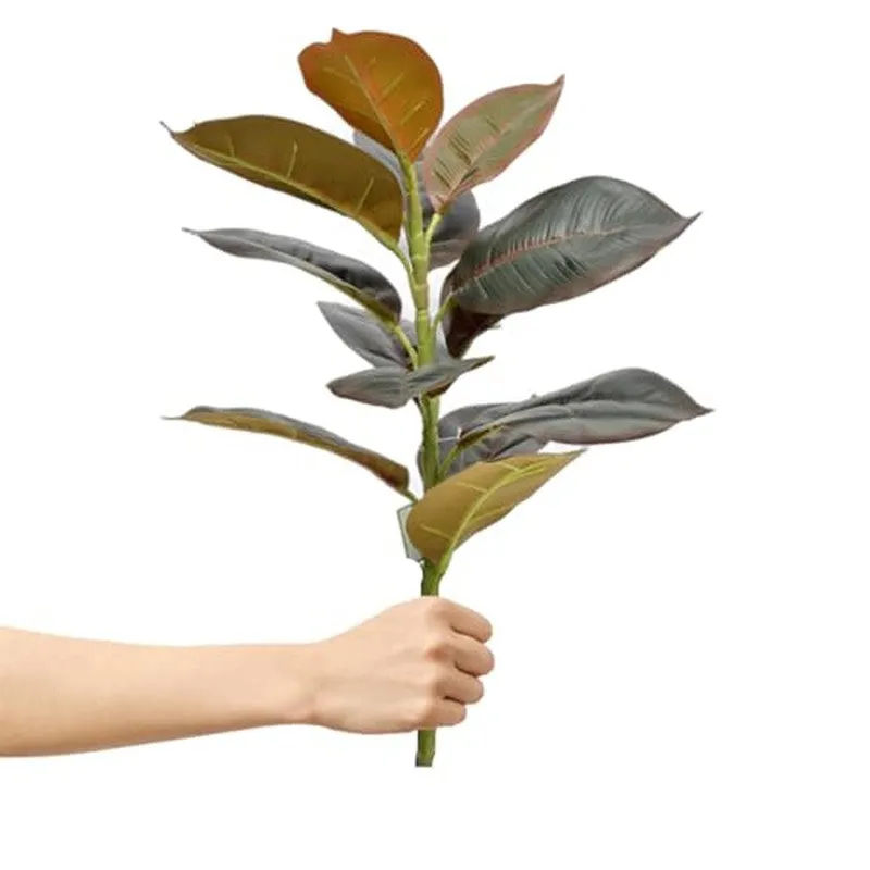 OvaFlora Artificial Rubber Plant With Black Plastic Pot - 1.6 Feet media 7