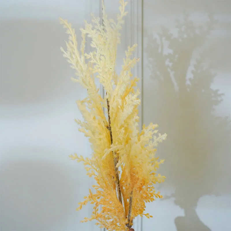 Faux Asparnagus Pampas Flower Stick (White) - 25 CM media 4