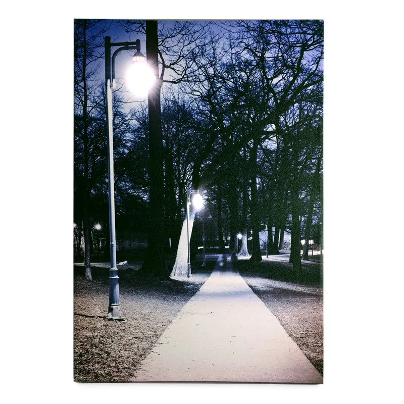 Find Your Path LED Wall Art media 6