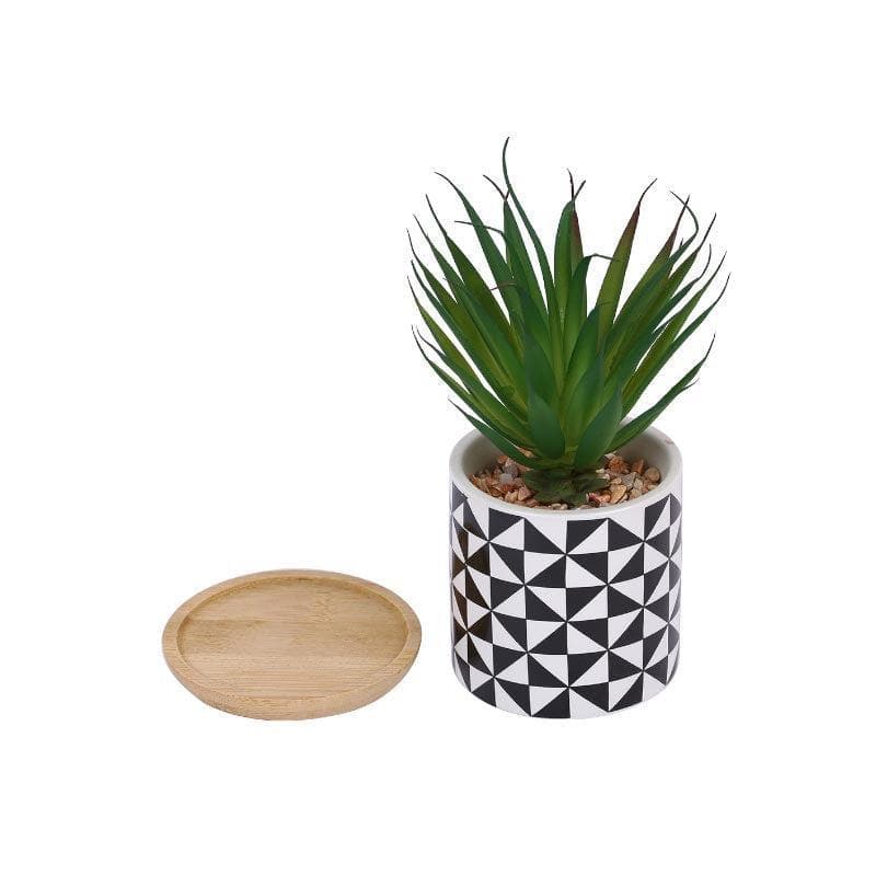 Faux Agave In Patterned Pot - 17.5 cms media 3