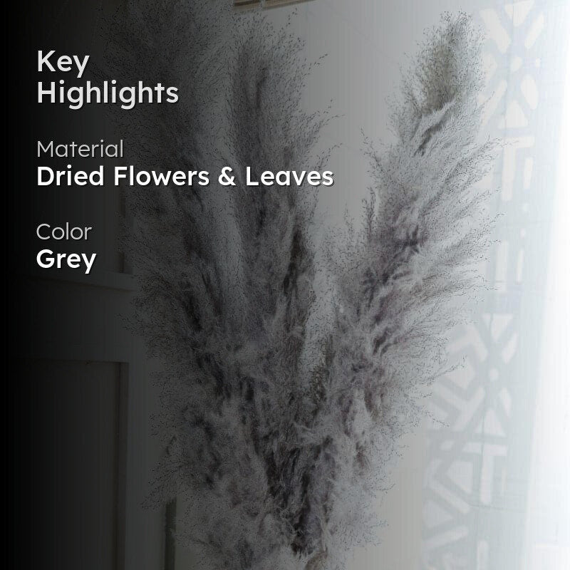 Pomi Naturally Dried Pampas Stick (Grey) - Set Of Five media 2
