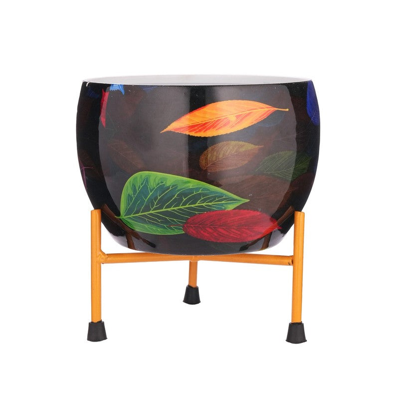 Garden Raga Pots & Planter media 11