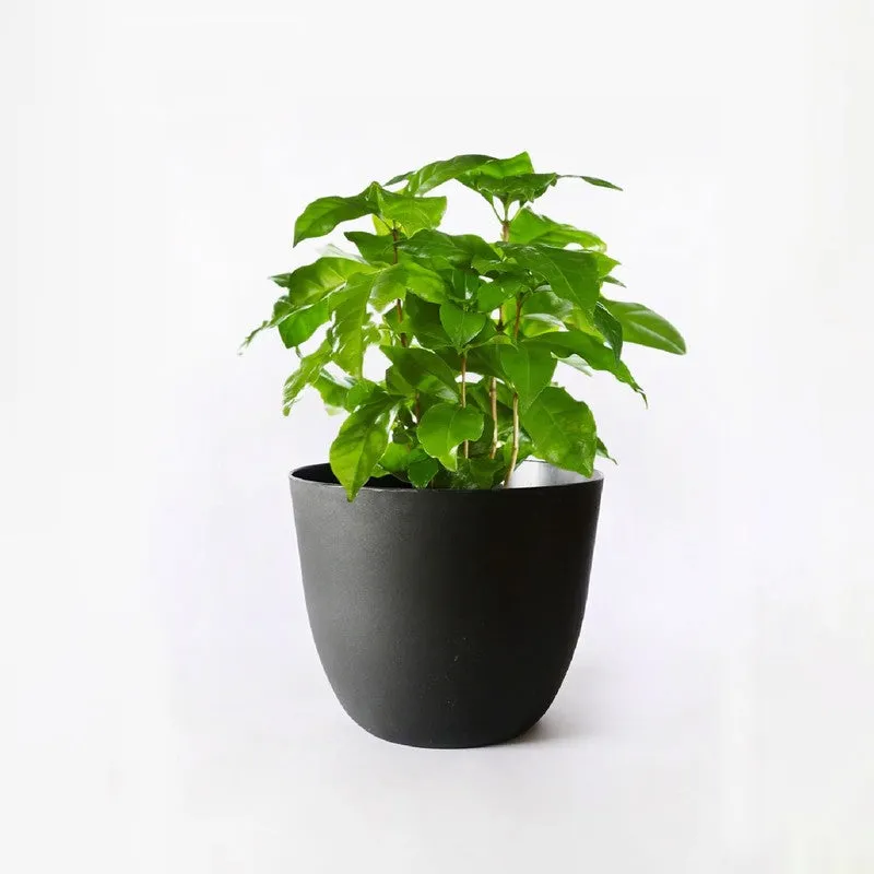 Obsidian Garden Planter - Set Of Four media 5