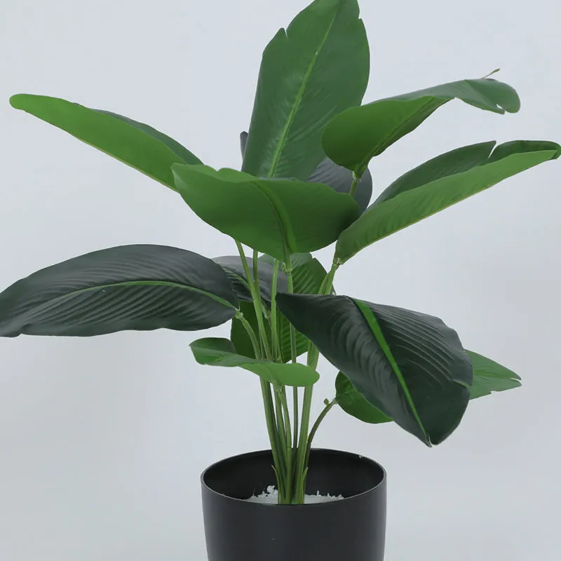 Wild Folia Artificial Banana Plant With Black Plastic Pot - 1.8 Feet media 4