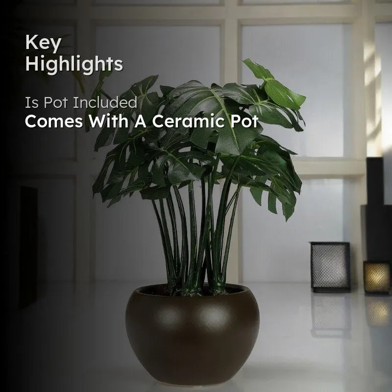Faux Philodendron Bonsai In Ceramic Pot - 37 cms media 2