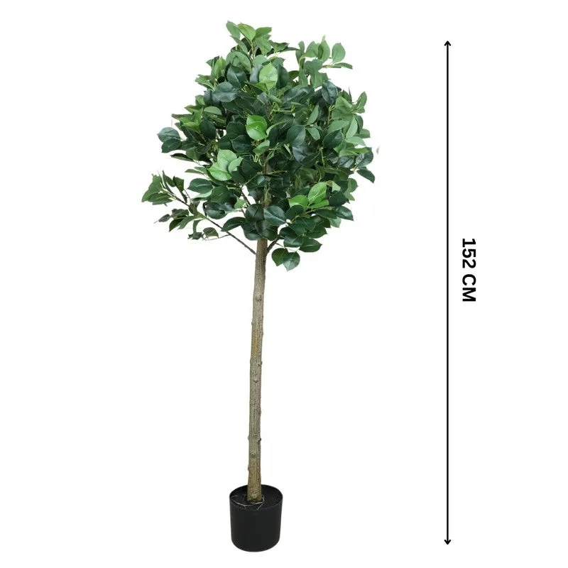 Verdiq Artificial Ginko Plant With Black Fiber Pot - 5 Feet media 6