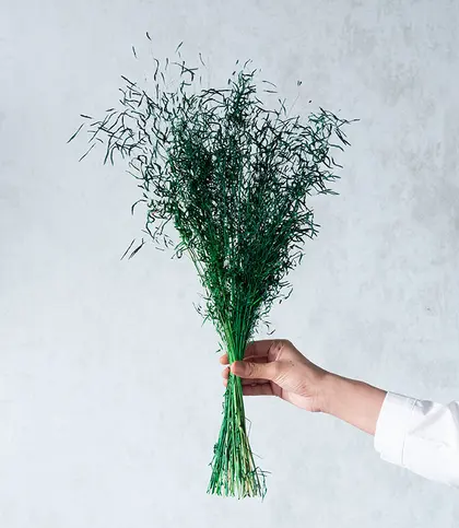 Dried Flowers & Leaves