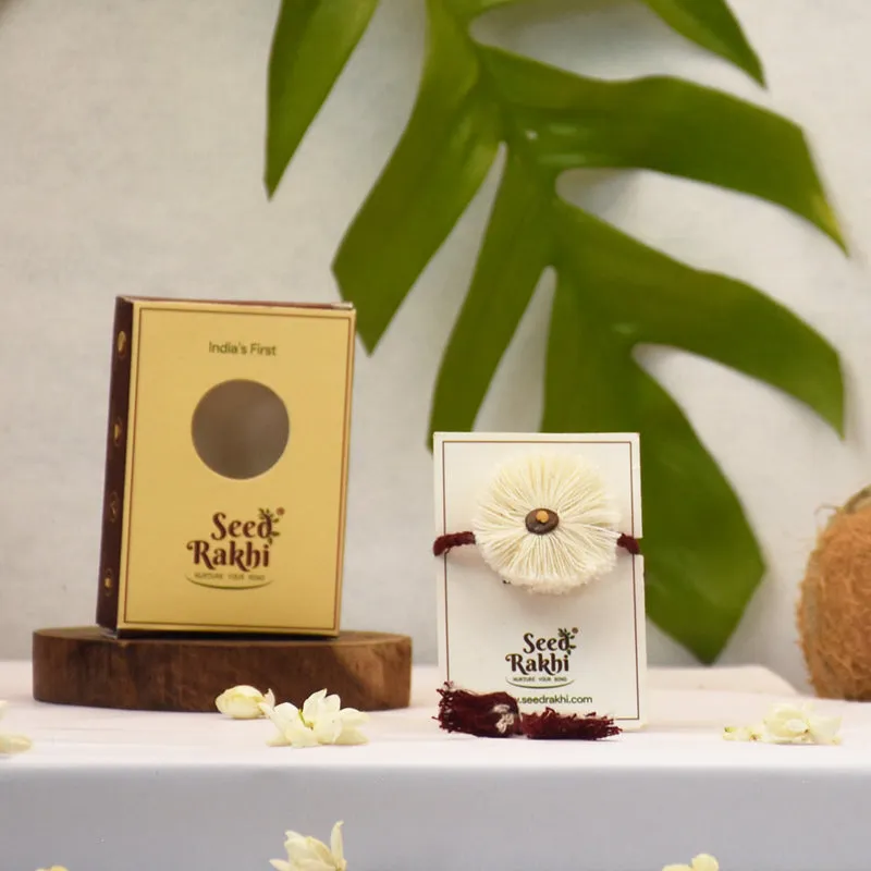 Parampara Seed Rakhi Gift Box media 1