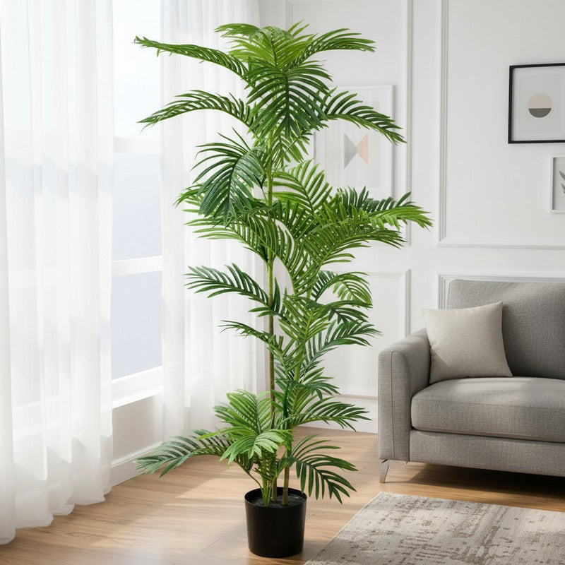 Greenly Artificial Dracaena Plant With Black Plastic Pot - 5 Feet media 3
