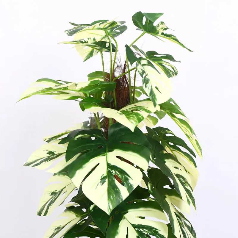 Monever Artificial Monstera With Black Plastic Pot (White) - 4 Feet media 5