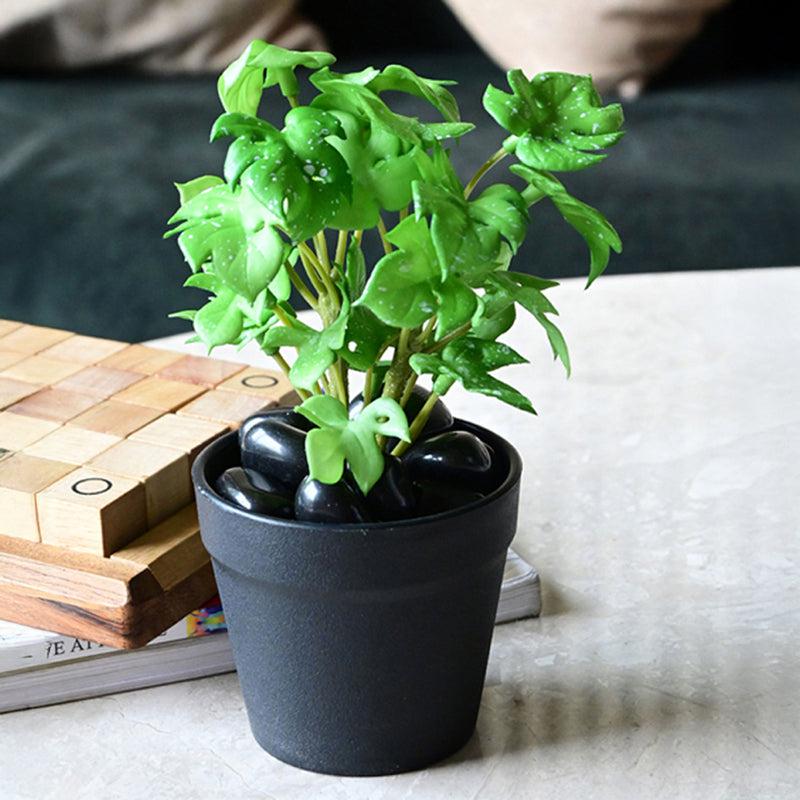Minstera Artificial Mini Monstera Plant With Black Plastic Pot (Light Green) - 16 cm media 5