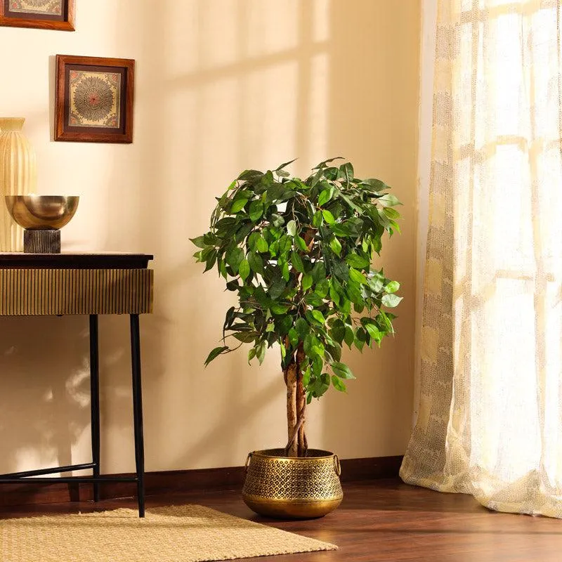 Artificial Realistic Ficus Plant With Black Plastic Pot - 3.9 Feet media 1