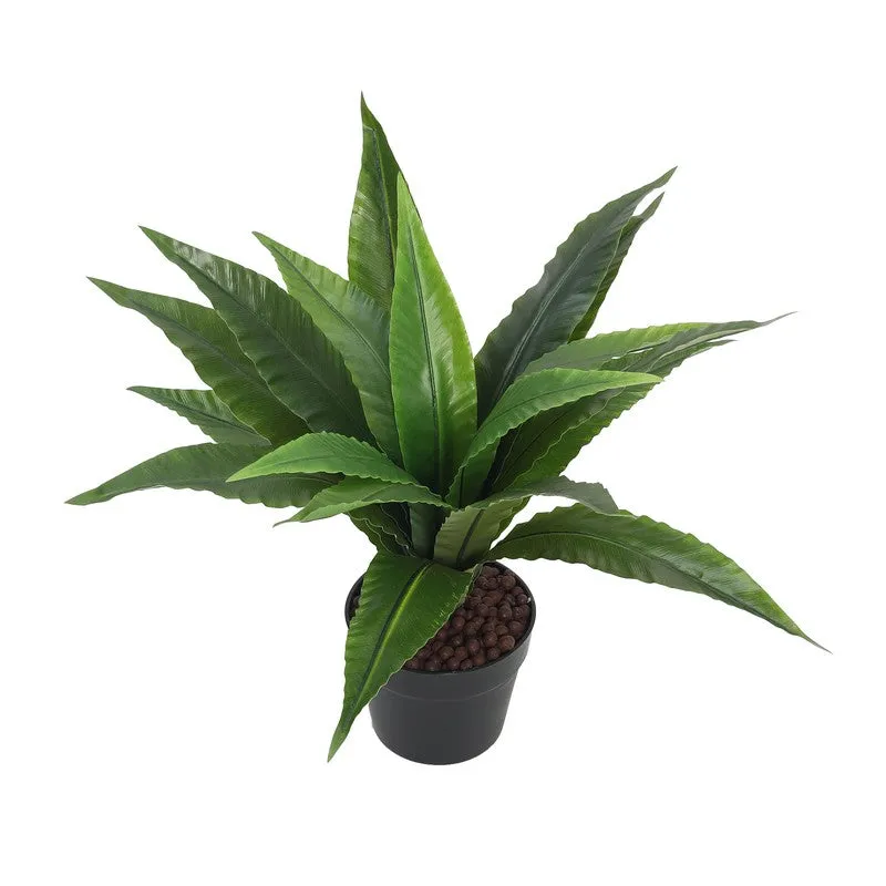 Evergree Touch Artificial Plant With Black Plastic Pot - 1.6 ft media 5