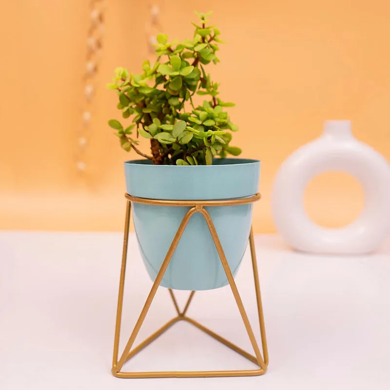 Kyari Comet Metal Planter With Stand media 2