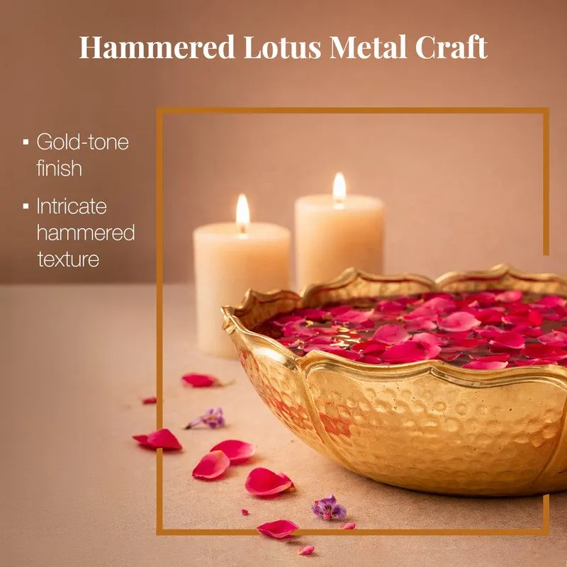 Rajwadi Metal Urli media 4