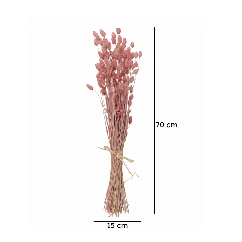 Dried Phalaris Flower Stick (Pink) - Set of Thirty media 8