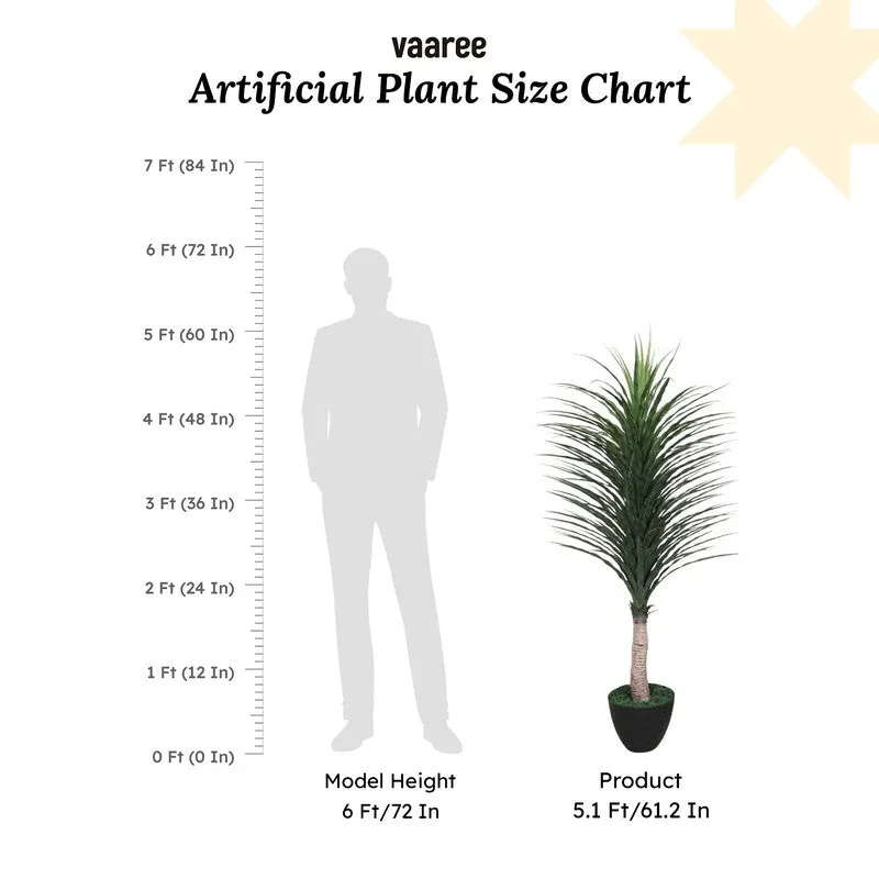 Artificial Real Touch Yucca Plant Without Pot - 5 Feet media 7