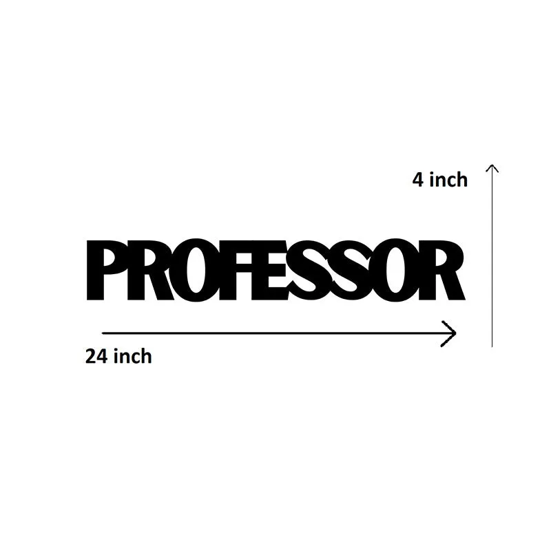 Professor Iron Wall Accent media 5