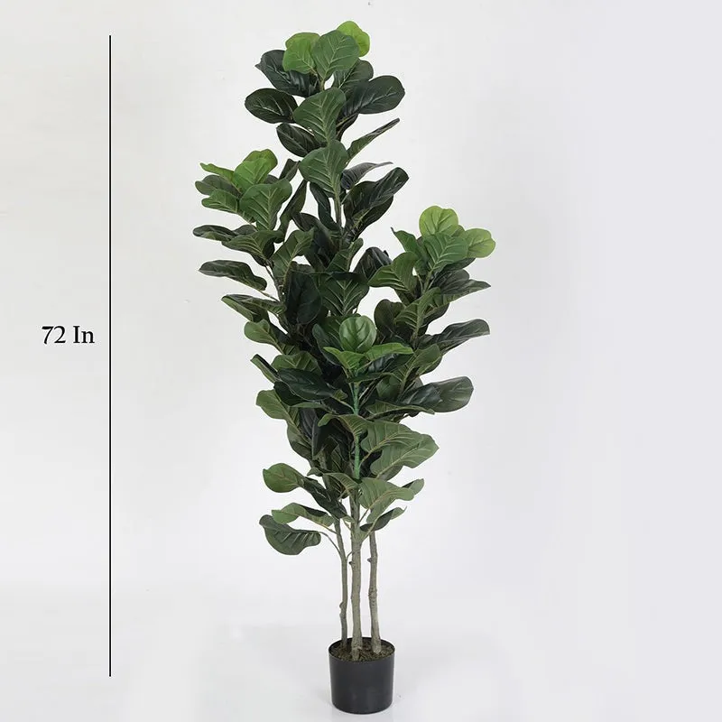 Faux Fiddle Fig Tree With Black Plastic Pot - 5.9 Feet media 6