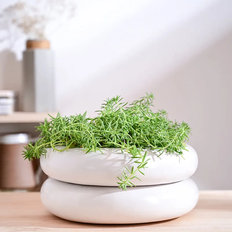 Ugaoo Ceramicurve Two Layer Ceramic Planter - White media 2