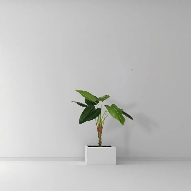 TeraVine Alocasia Artificial Plant With Black Plastic Pot - 2.4 Feet media 7