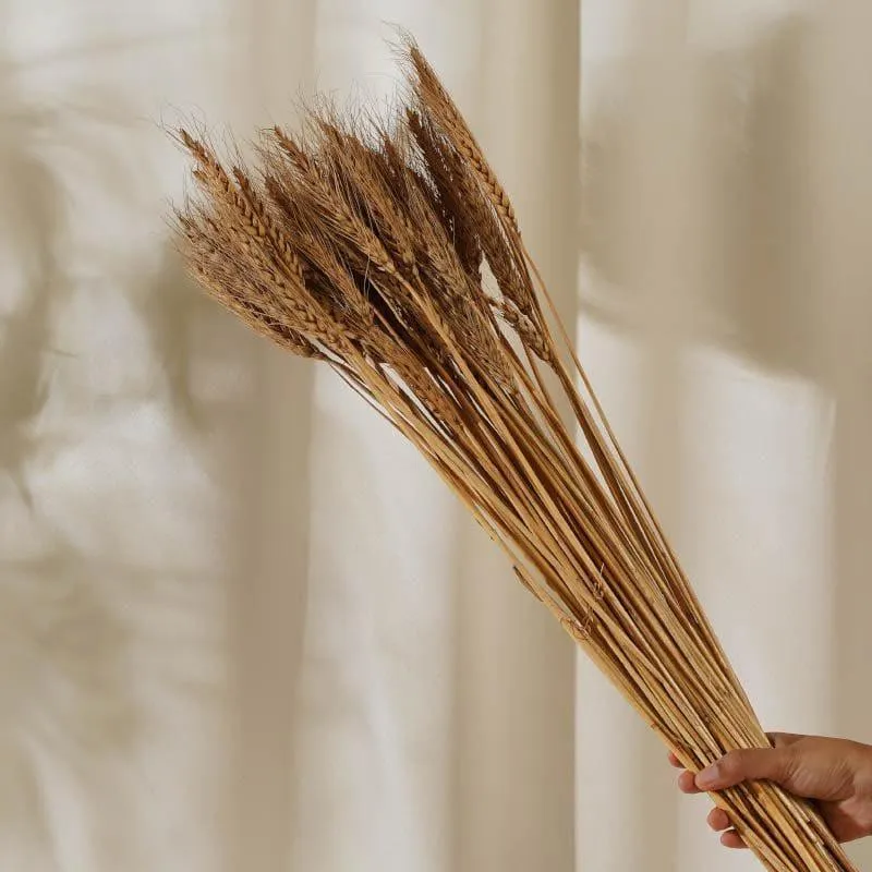 (Brown) Dried Wheat (60 cms) - Set Of Twenty Five Stems media 4