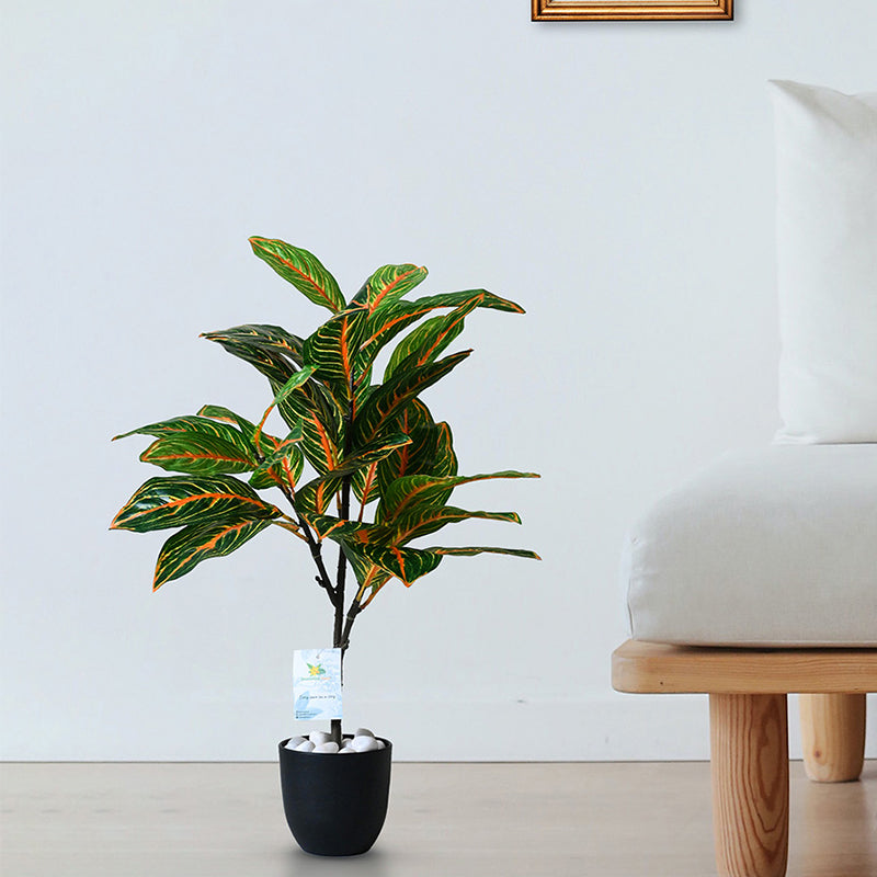 Faux Everlasting Aglaonema Plant With Black Plastic Pot - 74 cm (2.4 ft) media 3