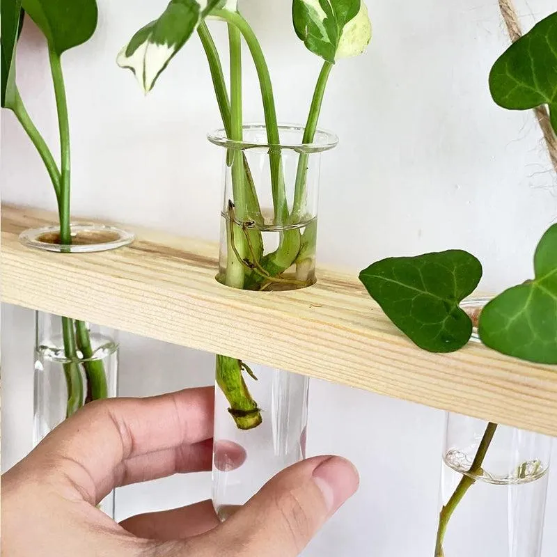 Arana Test Tube Planter media 3