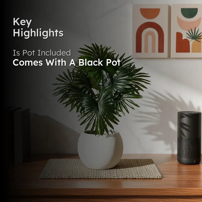 Faux Everlasting Fan Palm With Black Plastic Pot - 58 cm media 2