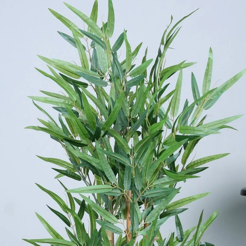 VerdaBloom Bamboo Plant With Black Fiber Pot - 3.9 Feet media 6