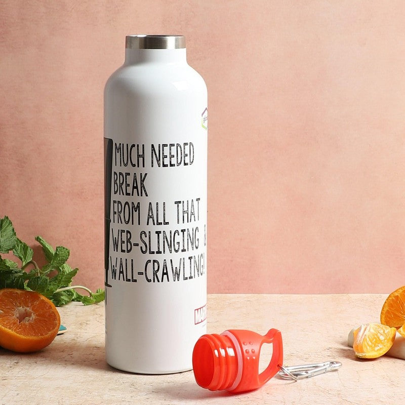 Spidey Relax Insulated Water Bottle - 1000 mL media 3