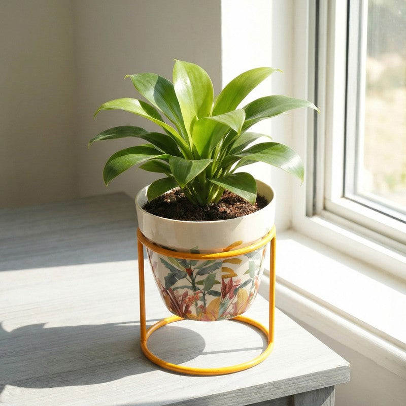 Vessel & Vine Metal Planters With Stand - Two Piece Set media 12