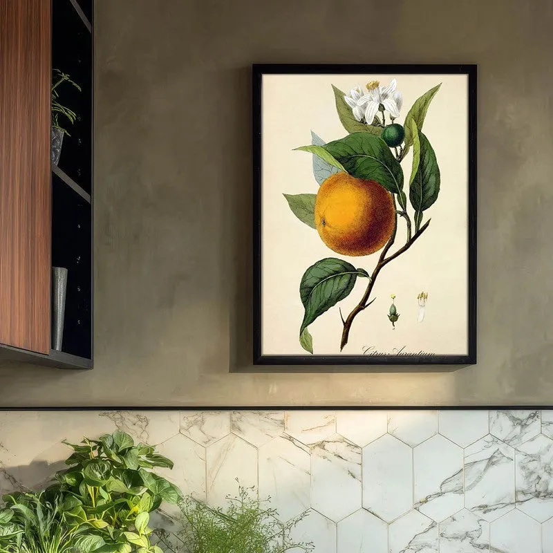 Tropical Zest Archival Canvas Wall Art - Black media 3