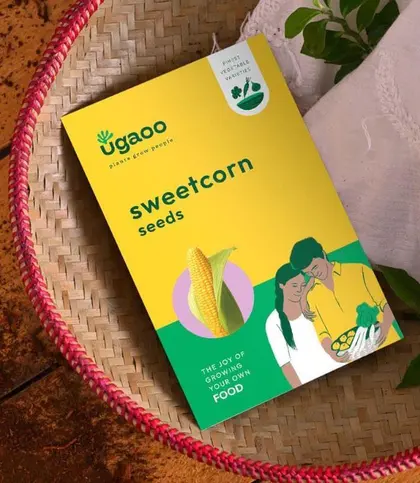 Seeds