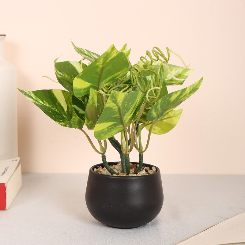 Lucky Artificial Money Plants With Pot - Light Green