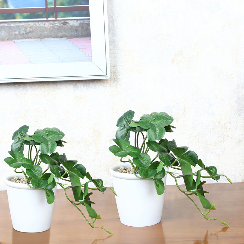 Mori Artificial Plant With Black Plastic Pot