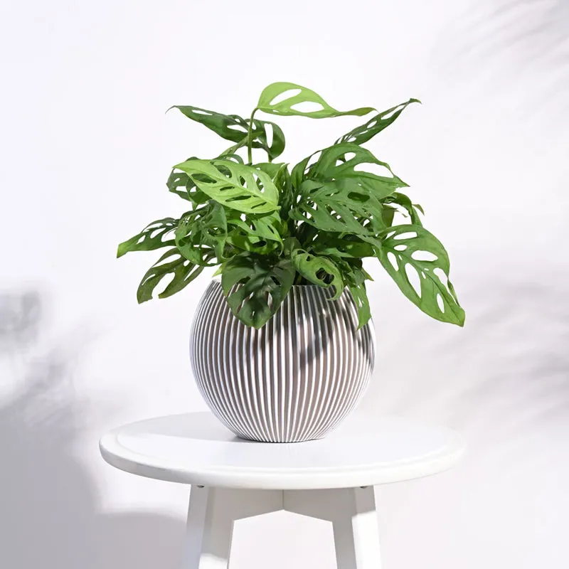 UGAOO Planter Vase Ball Groove - Ivory media 3