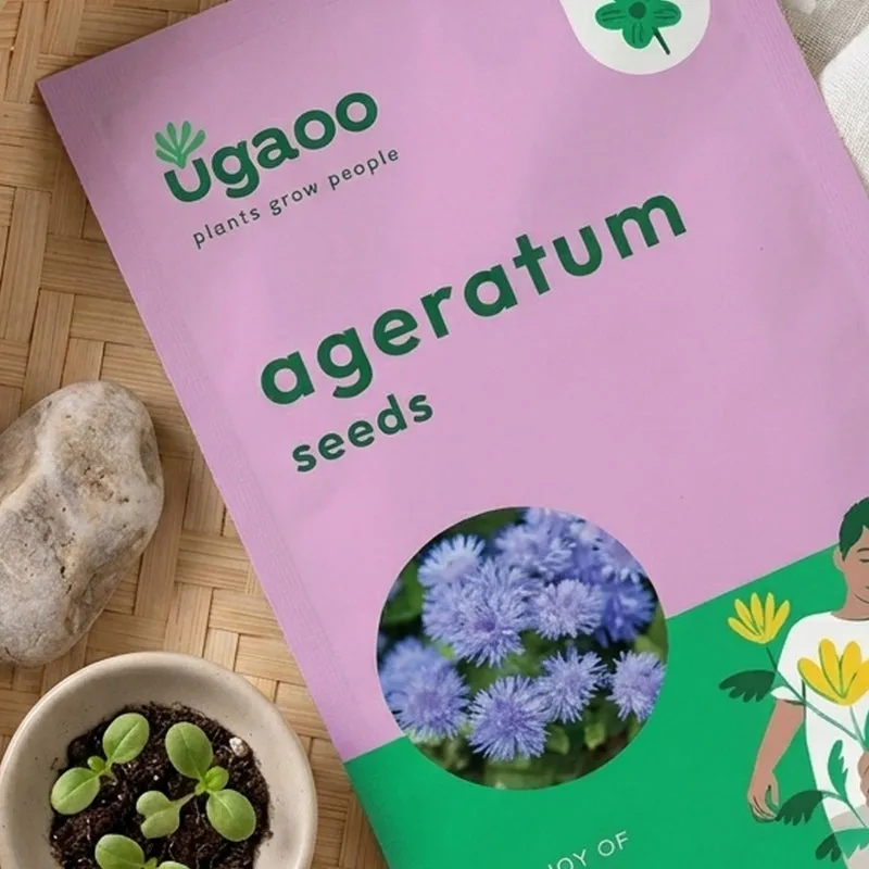 Ugaoo Ageratum Seeds (200 Seeds) media 3