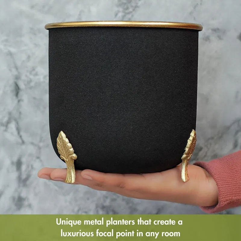 Verdra Metal Planter media 4