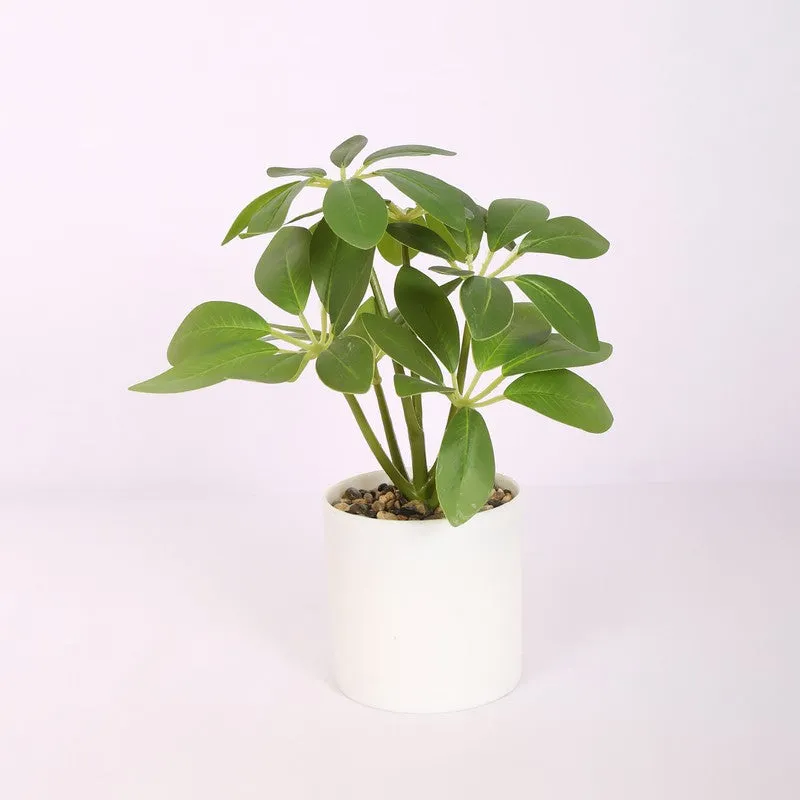 Artificial Schefflera Plants With Pot - Green media 3
