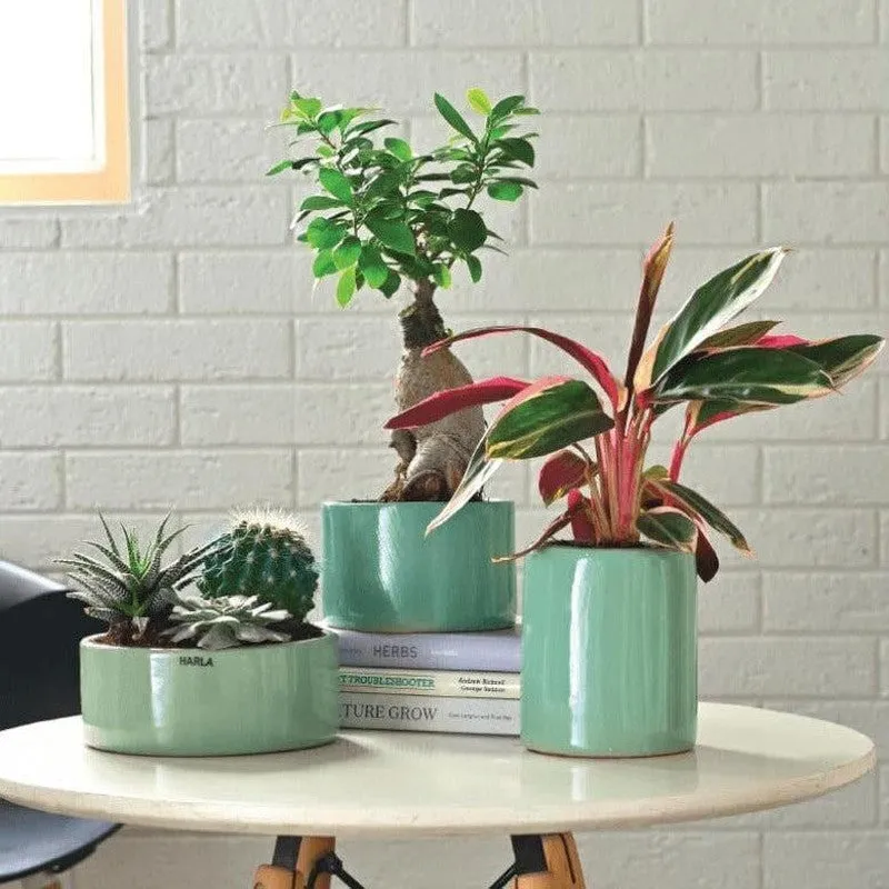 Ugaoo Lilac Stories Ceramic Pot (Aqua Green) - Set Of Three media 3