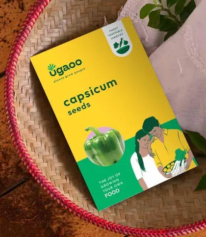 Seeds