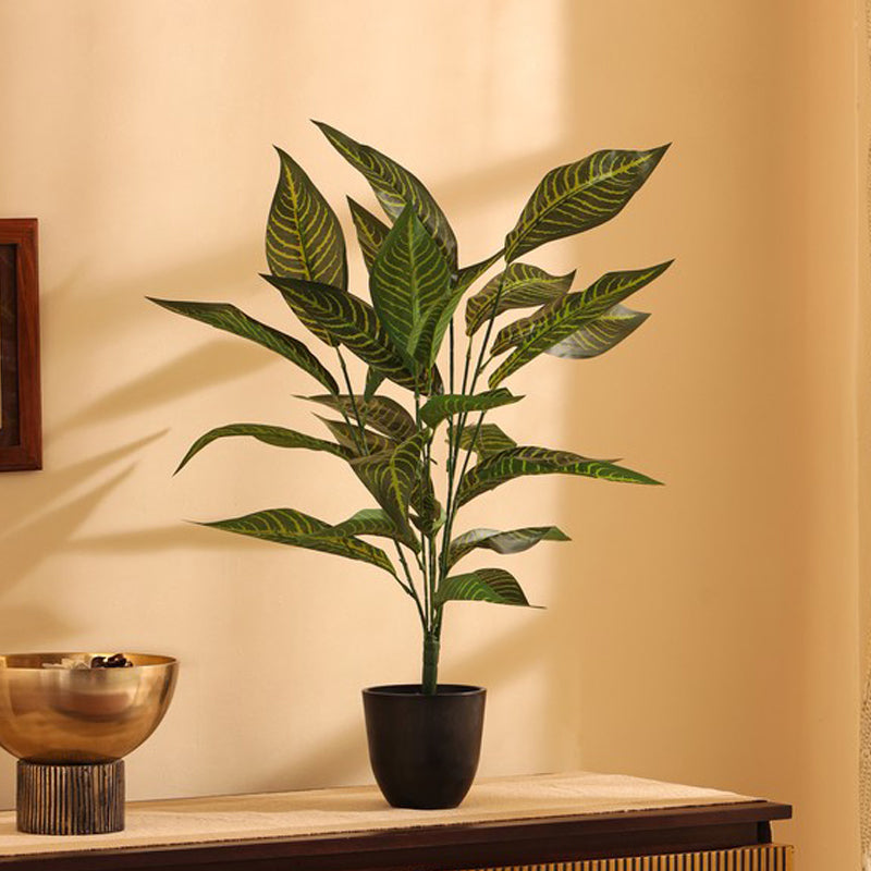 Artificial Croton Faux Plant Without Pot (2 Ft) - Set Of Two