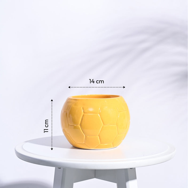Ugaoo Football Yellow Ceramic Pot media 6